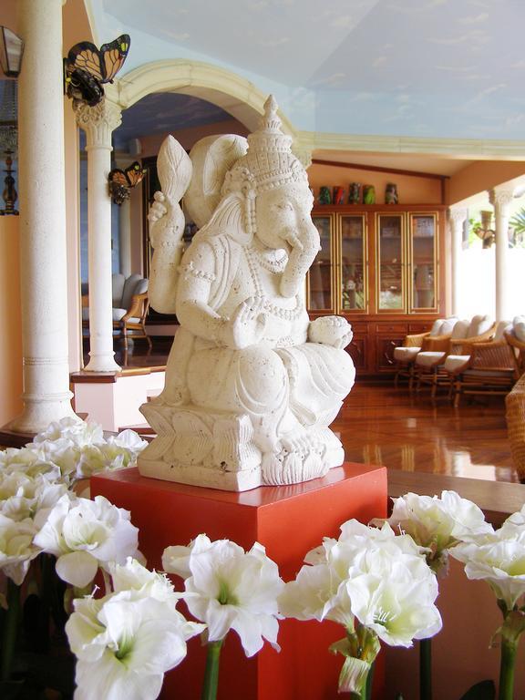 Hotel Cuna Del Angel Dominical Zewnętrze zdjęcie